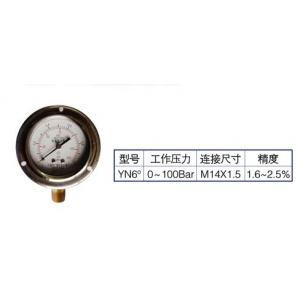YN耐震壓力表