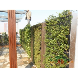 銀城廣場(chǎng)屋頂噴灌