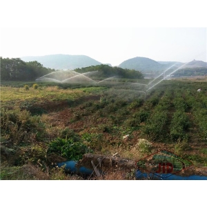 南京江寧東山茶廠噴灌