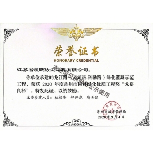 榮譽證書