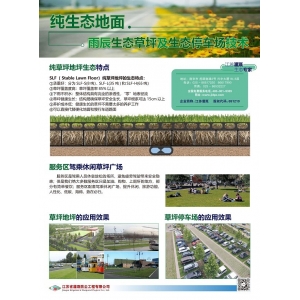 SLF（Stable Lawn Floor）純草坪地坪
